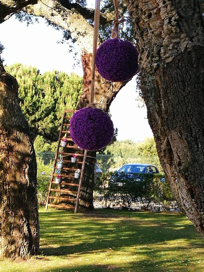 بالميلا Quinta Lagus Resort - Casa De Campo المظهر الخارجي الصورة